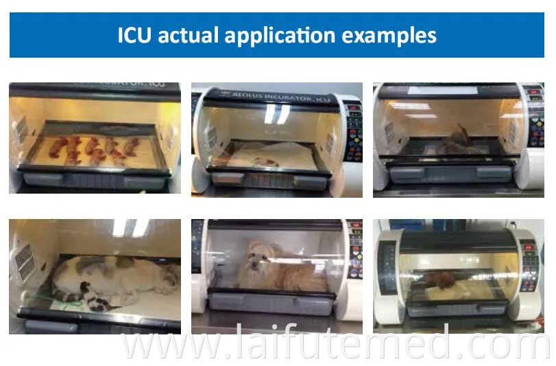 Chinese Manufacturer Veterinary Medical ICU Incubator Equipment Puppy Dog Puppy Pet Incubator for Pet Clinic